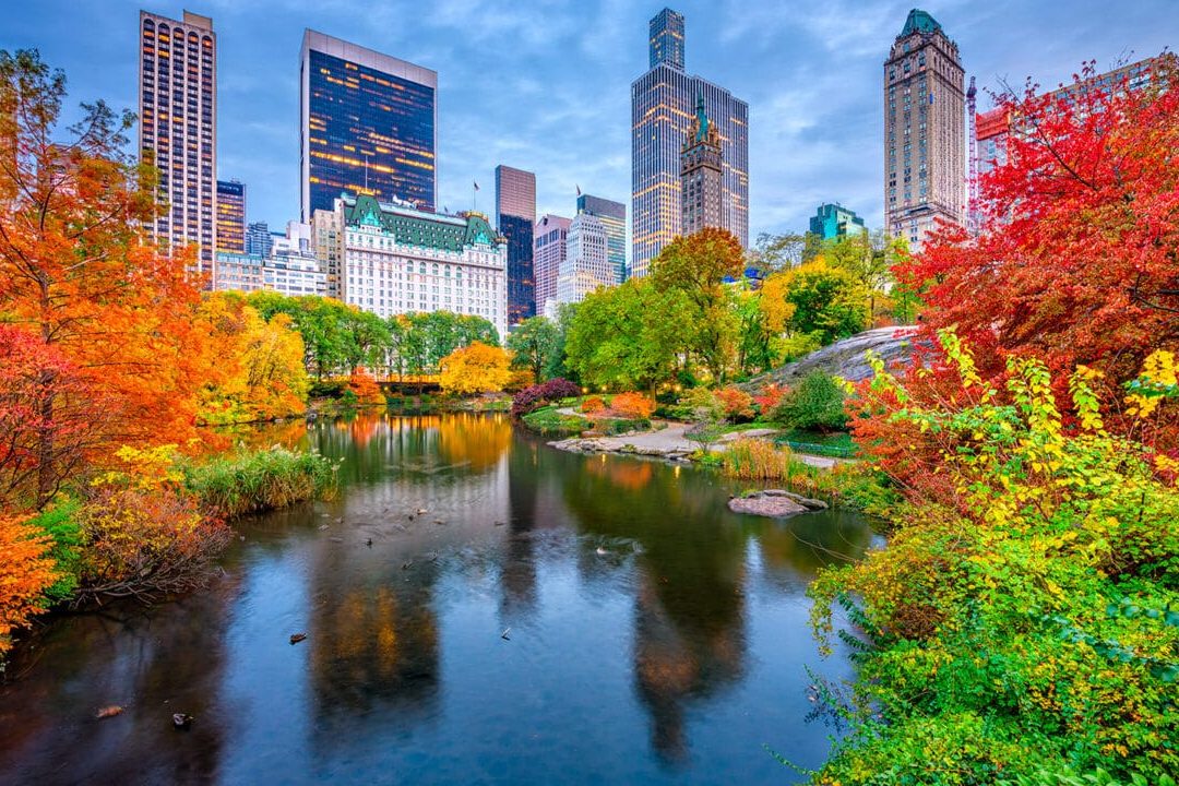 Qué hacer en Nueva York en octubre 2024?